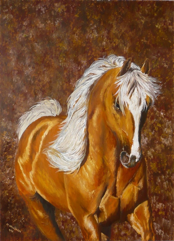 Golden palomino