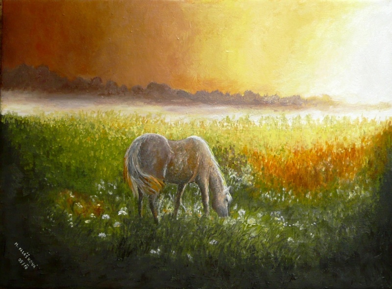 Ranni panorama